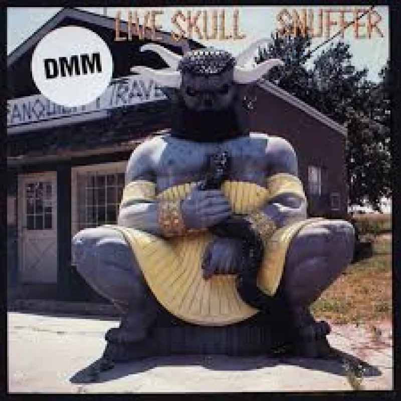 Thalia Zedek (Live Skull)