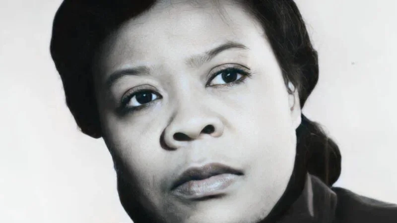 Mary Van Brittan Brown Biography