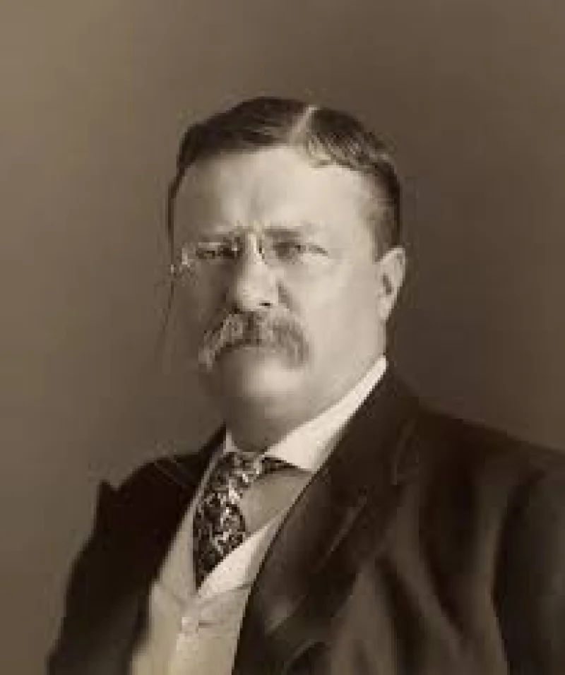 Theodore Roosevelt Biography